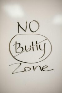 No Bully Zone